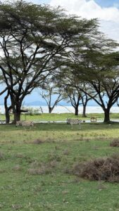2025-10: Bericht von Vanessa Vogler und Paulina Daniel 4kenya