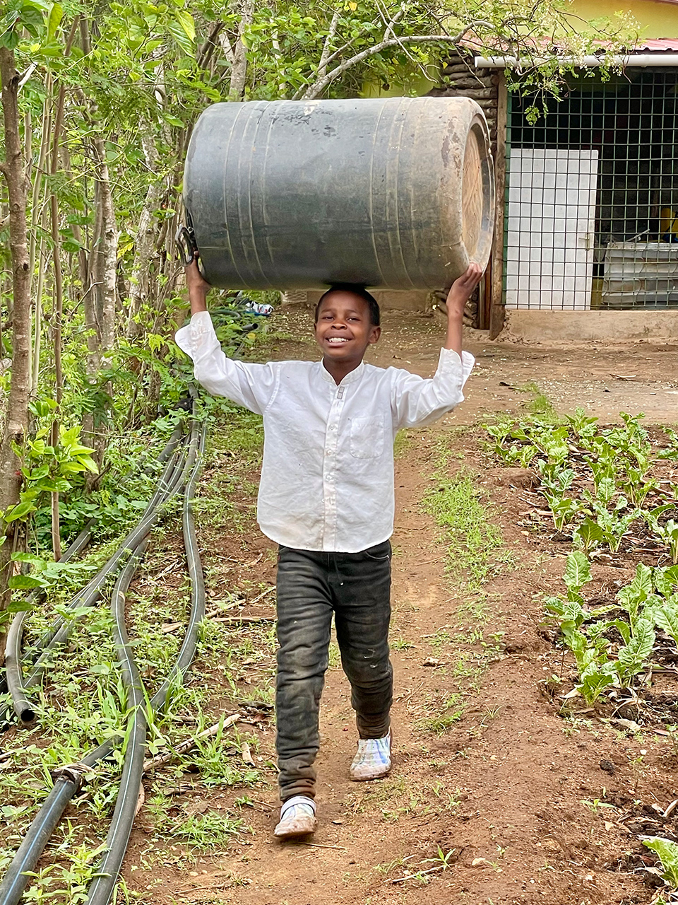 4kenya shamba 6