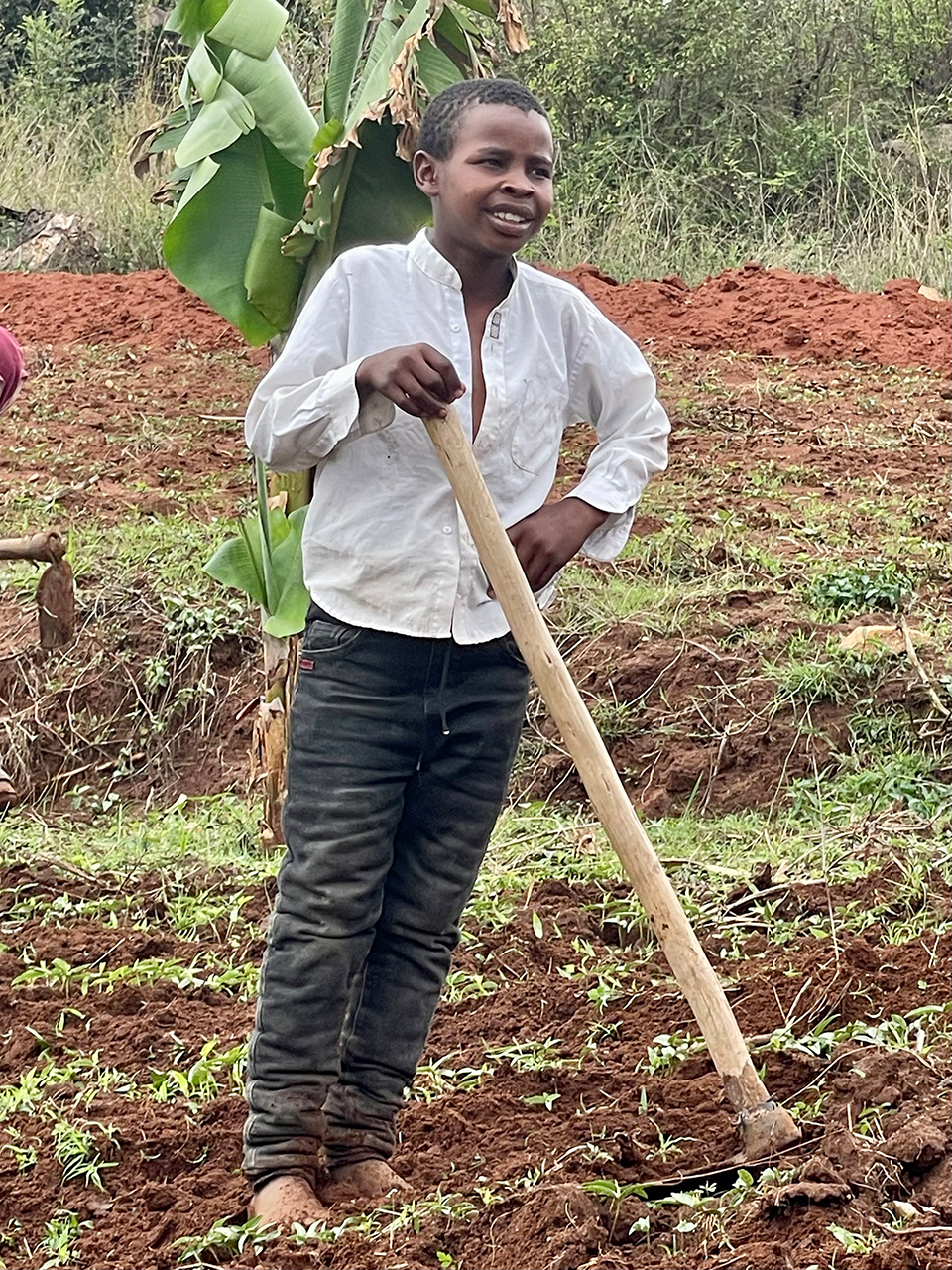 4kenya shamba 8