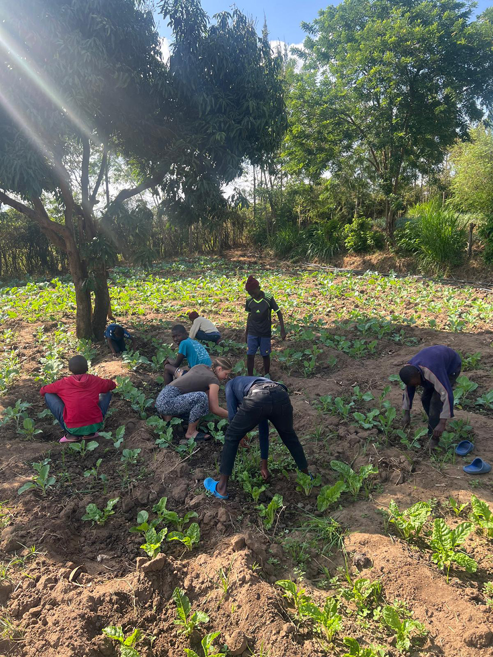 4kenya shamba 9