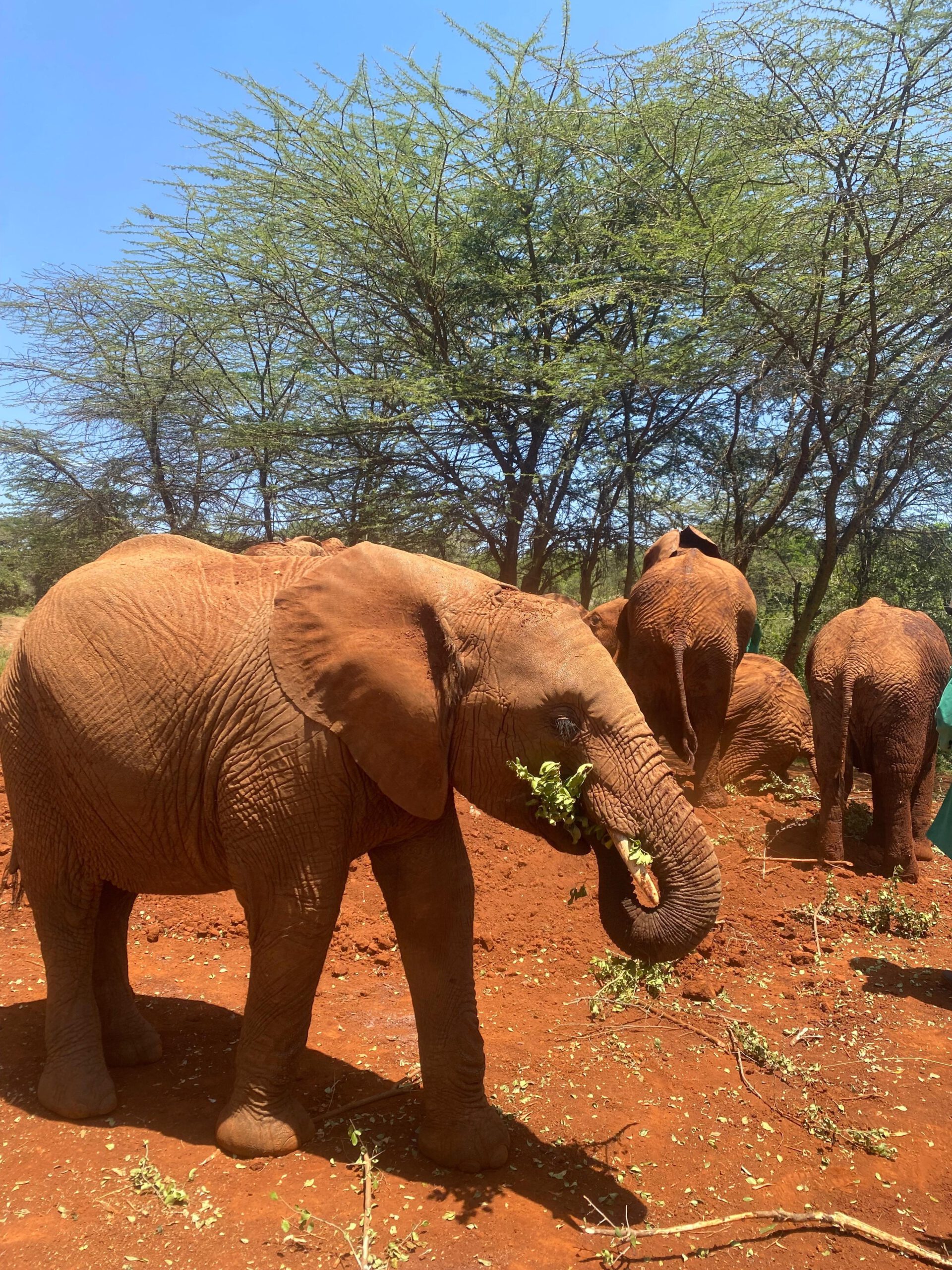 4kenya